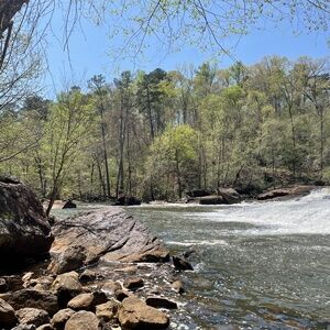 Meet your Posher, Savannah